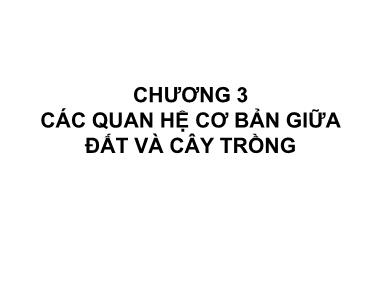 Bài giảng Độ phì nhiêu đất đai và phân bón - Chương 3: Các quan hệ cơ bản giữa đất và cây trồng