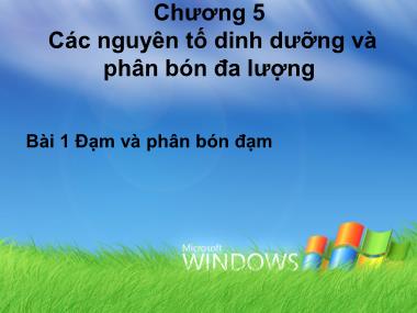 Bài giảng Độ phì nhiêu đất đai và phân bón - Chương 5: Các nguyên tố dinh dưỡng và phân bón đa lượng