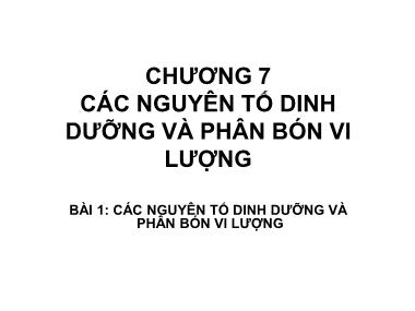 Bài giảng Độ phì nhiêu đất đai và phân bón - Chương 7: Các nguyên tố dinh dưỡng và phân bón vi lượng