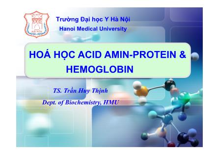 Bài giảng Hoá học acid amin-protein & Hemoglobin - Trần Huy Thịnh