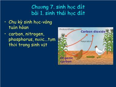 Bài giảng Khoa học đất - Chương 7: Sinh học đất - Bài 1: Sinh thái học đất