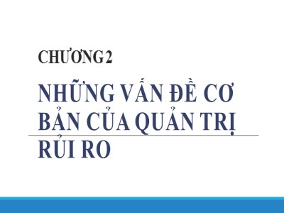 Bài giảng Quản trị rủi ro - Chương 2: Những vấn đề cơ bản của quản trị rủi ro - Võ Hữu Khánh