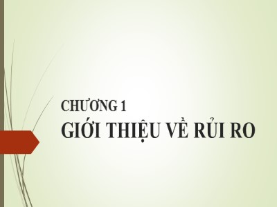 Bài giảng Quản trị rủi ro - Chương 5: Giới thiệu về rủi ro - Võ Hữu Khánh