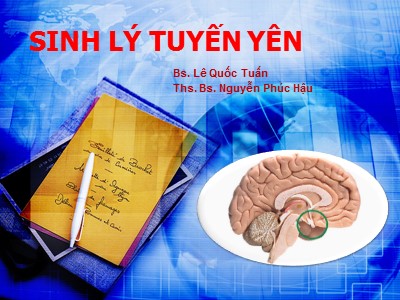 Bài giảng Sinh lý tuyến yên - Lê Quốc Tuấn