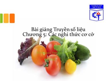 Bài giảng Truyền số liệu - Chương V: Các nghi thức cơ cở