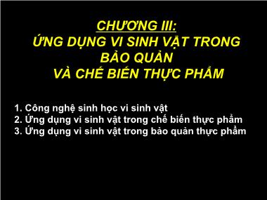 Bài giảng Ứng dụng công nghệ sinh học trong công nghệ thực phẩm - Chương III: Ứng dụng vi sinh vật trong bảo quản và chế biến thực phẩm