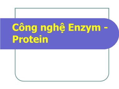 Công nghệ Enzym - Protein