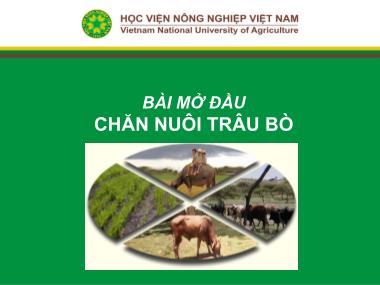 Bài giảng Chăn nuôi trâu bò - Bài 1: Bài mở đầu