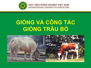 Bài giảng Chăn nuôi trâu bò - Bài 2: Giống và công tác giống trâu bò