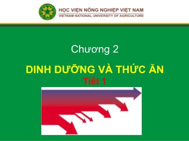 Bài giảng Chăn nuôi trâu bò - Chương 2: Dinh dưỡng và thức ăn