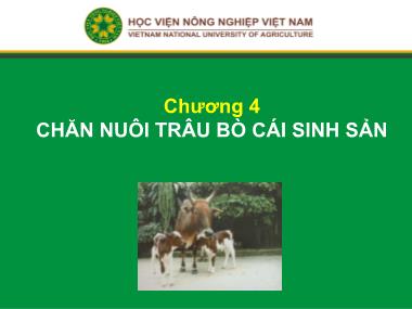 Bài giảng Chăn nuôi trâu bò - Chương 4: Chăn nuôi trâu bò cái sinh sản