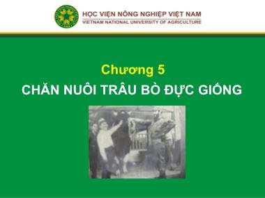 Bài giảng Chăn nuôi trâu bò - Chương 5: Chăn nuôi trâu bò đực giống