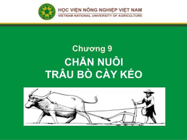 Bài giảng Chăn nuôi trâu bò - Chương 9: Chăn nuôi trâu bò cày kéo