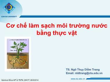 Bài giảng Cơ chế làm sạch môi trường nước bằng thực vật - Ngô Thụy Diễm Trang