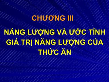 Bài giảng Dinh dưỡng động vật - Chương 3: Năng lượng và ước tính giá trị năng lượng của thức ăn - Lê Việt Phương