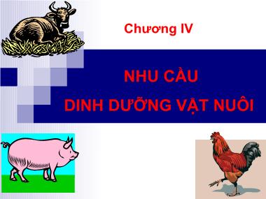 Bài giảng Dinh dưỡng động vật - Chương 4: Nhu cầu dinh dưỡng vật nuôi - Lê Việt Phương