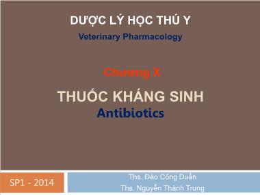 Bài giảng Dược lý học thú y - Chương 10: Thuốc kháng sinh