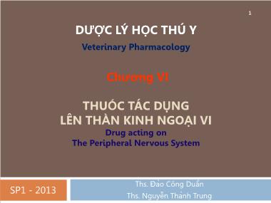 Bài giảng Dược lý học thú y - Chương 6: Thuốc tác dụng lên thần kinh ngoại vi