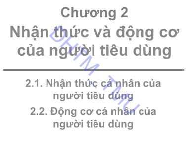 Bài giảng Hành vi khách hàng - Chương 2: Nhận thức và động cơ của người tiêu dùng