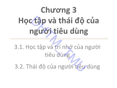 Bài giảng Hành vi khách hàng - Chương 3: Học tập và thái độ của người tiêu dùng