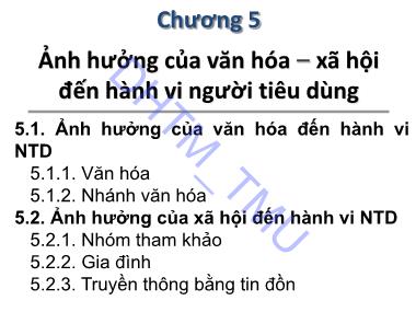 Bài giảng Hành vi khách hàng - Chương 5: Ảnh hưởng của văn hóa xã hội đến hành vi người tiêu dùng