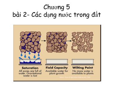 Bài giảng Khoa học đất - Chương 5, Bài 2: Các dạng nước trong đất