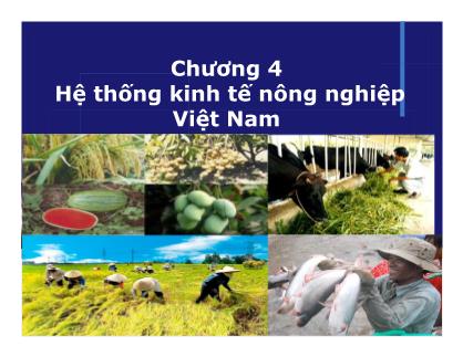 Bài giảng Kinh tế nông nghiệp - Chương 4: Hệ thống kinh tế nông nghiệp Việt Nam