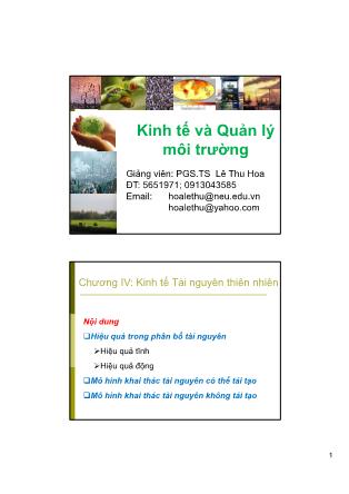 Bài giảng Kinh tế và quản lý môi trường - Chương IV: Kinh tế Tài nguyên thiên nhiên - Lê Thu Hoa