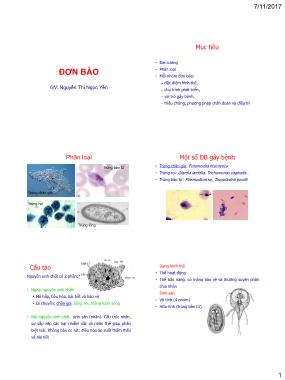Bài giảng Ký sinh trùng: Đơn bào - Nguyễn Thị Ngọc Yến