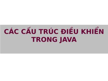 Bài giảng Kỹ thuật phần mềm - Chương 2: Các cấu trúc điều khiển trong Java - Phạm Duy Trung