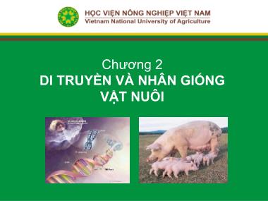 Bài giảng Nhập môn chăn nuôi - Chương 2: Di truyền và nhân giống vật nuôi