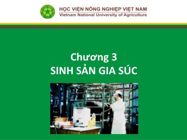 Bài giảng Nhập môn chăn nuôi - Chương 3: Sinh sản gia súc