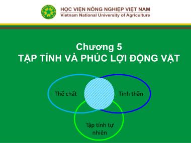 Bài giảng Nhập môn chăn nuôi - Chương 5: Tập tính và phúc lợi động vật