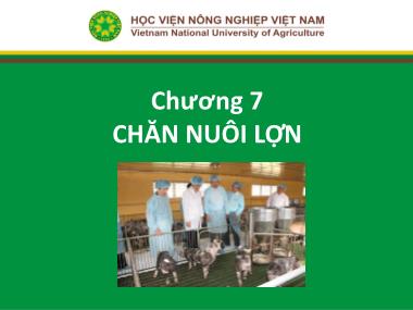 Bài giảng Nhập môn chăn nuôi - Chương 7: Chăn nuôi lợn