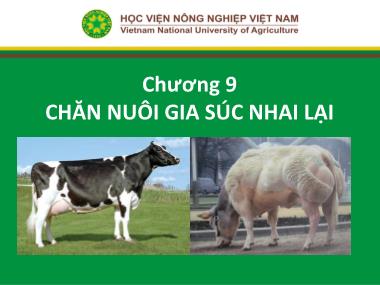 Bài giảng Nhập môn chăn nuôi - Chương 9: Chăn nuôi gia súc nhai lại