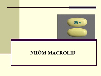 Bài giảng Nhóm Macrolid