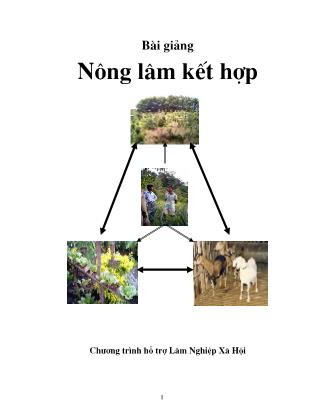 Bài giảng Nông lâm kết hợp