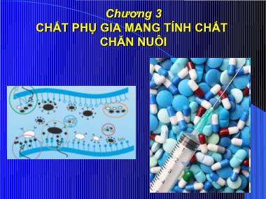 Bài giảng Phân loại thức ăn và phụ gia - Chương 3: Chất phụ gia mang tính chất chăn nuôi