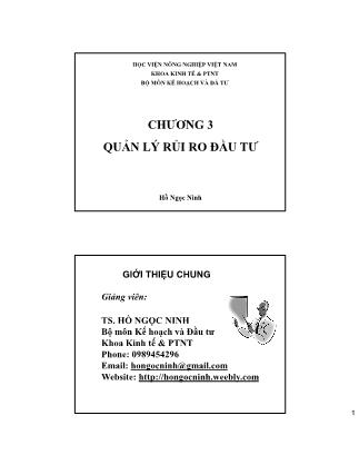 Bài giảng Quản lý rủi ro đầu tư - Chương 3: Quản lý rủi ro đầu tư - Hồ Ngọc Ninh