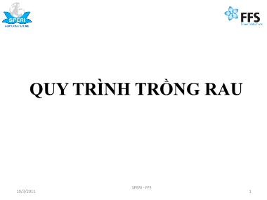 Bài giảng Quy trình trồng rau