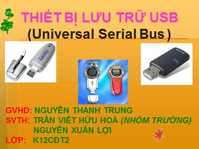 Bài giảng Thiết bị lưu trữ USB (Universal Serial Bus )