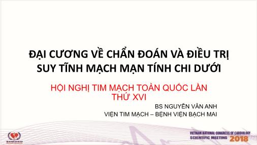 Đại cương về chẩn đoán và điều trị suy tĩnh mạch mạn tính chi dưới - Nguyễn Vân Anh