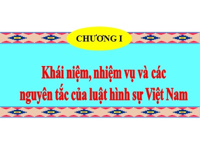 Bài giảng Luật hình sự - Chương 1: Khái niệm, nhiệm vụ và các nguyên tắc của luật hình sự Việt Nam