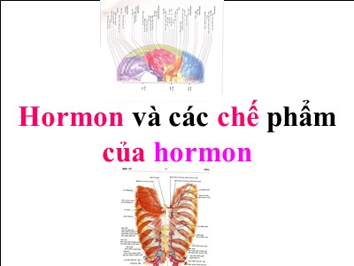 Bài giảng Dược lý học: Hormon và các chế phẩm của hormon