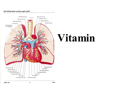Bài giảng Dược lý học: Vitamin