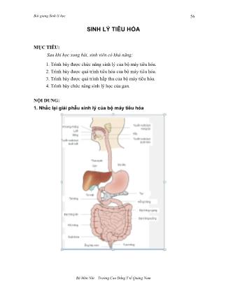 Bài giảng Sinh lý học (Phần 2)