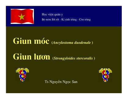 Bài giảng Sốt rét-Kí sinh trùng và côn trùng: Giun móc, giun lươn - Nguyễn Ngọc San