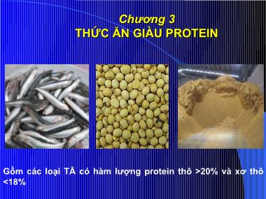 Bài giảng Thức ăn chăn nuôi - Chương 3: Thức ăn giàu protein