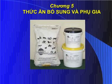 Bài giảng Thức ăn chăn nuôi - Chương 5: Thức ăn bổ sung và phụ gia