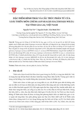 Đặc điểm hình thái và cấu trúc phân tử của loài Thiên môn chùm (Asparagus racemosus wild.) tại tỉnh gia lai, Việt Nam